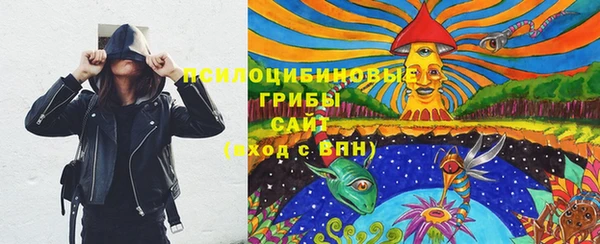дживик Горнозаводск