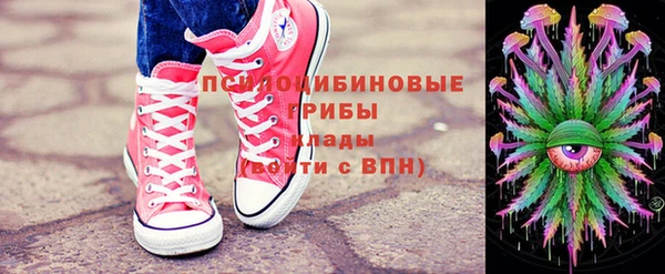дживик Горнозаводск
