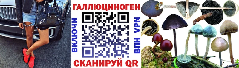 Галлюциногенные грибы ЛСД  Энгельс 